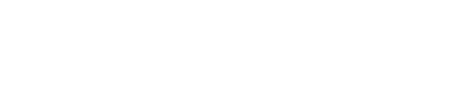 Mobile Car Detailing